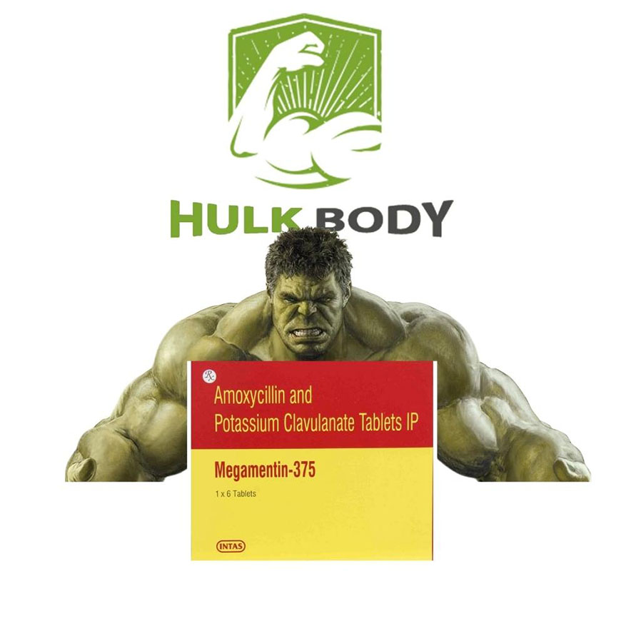 Megamentin 375 mg (6 capsules)
