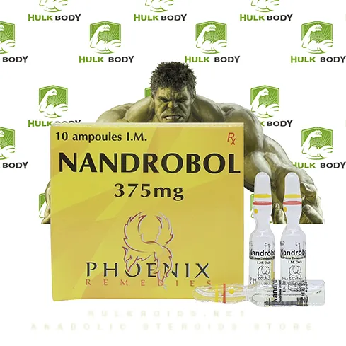 NandroBol 10 ampoules (375mg/ml)