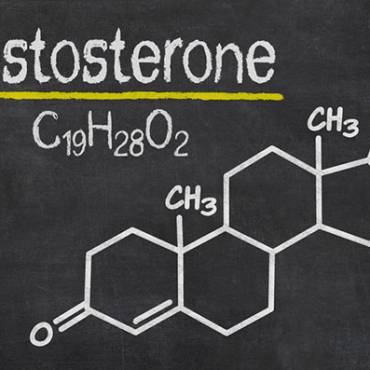 Testosterone-half-life_01.jpg