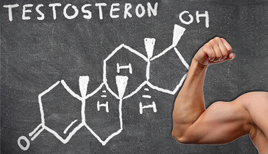 top 10 steroid