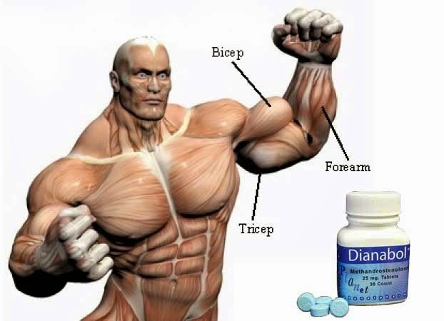 effects of Dianabol 20