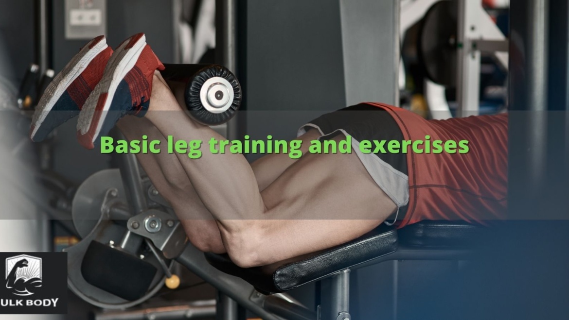 Basic leg training and exercises